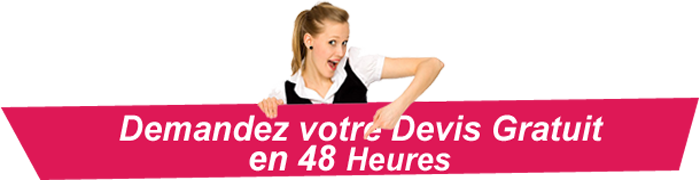 Devis gratuit en 48 heures